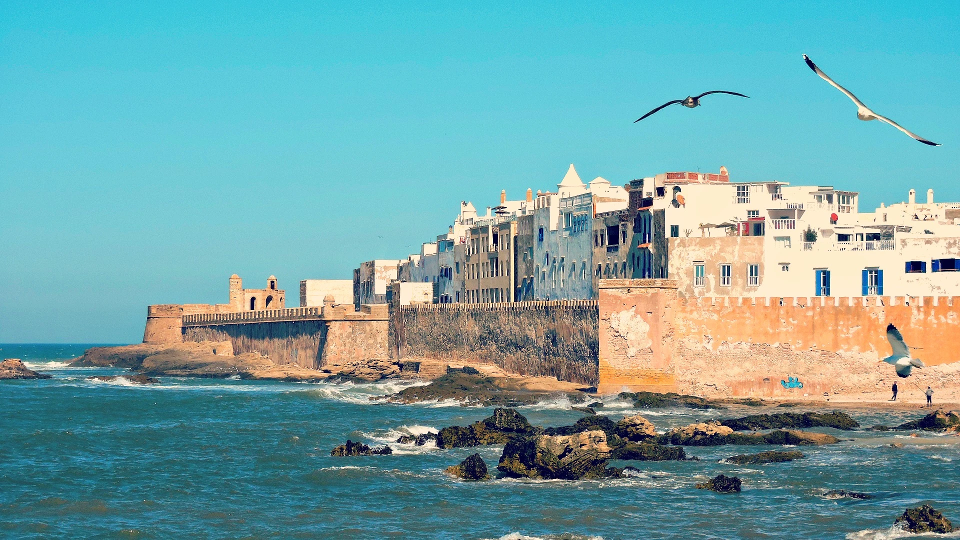 Essaouira Coast